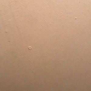 Meet your Posher, Tahj